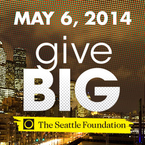 GiveBIG2014_toolkit_webbanner